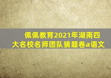 佩佩教育2021年湖南四大名校名师团队猜题卷a语文
