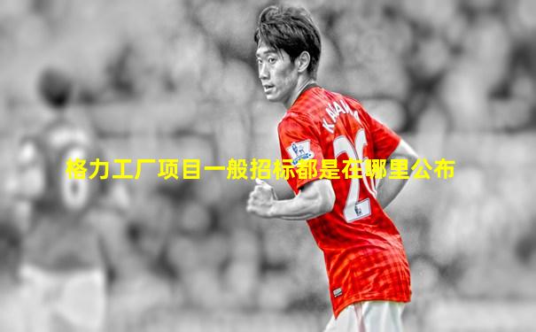 格力工厂项目一般招标都是在哪里公布