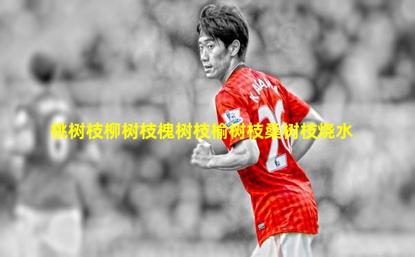 桃树枝柳树枝槐树枝榆树枝桑树枝烧水