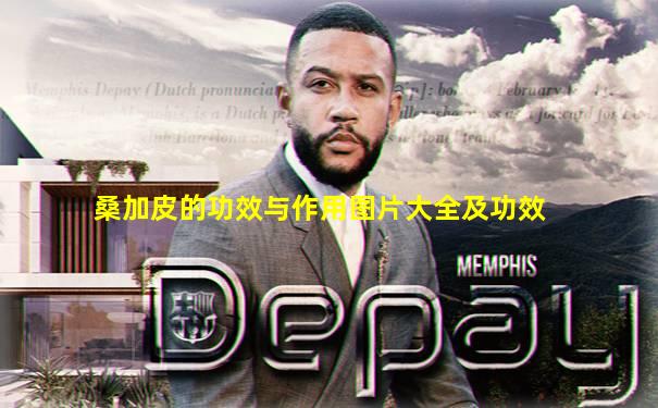 桑加皮的功效与作用图片大全及功效
