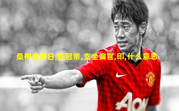 桑柳成荫日,临冠带,支坐偏官,印,什么意思