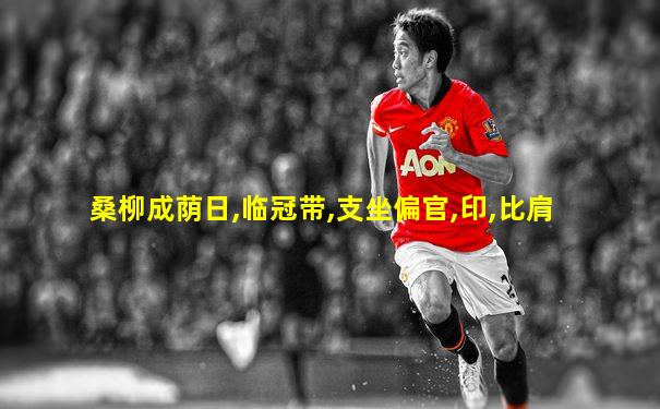 桑柳成荫日,临冠带,支坐偏官,印,比肩