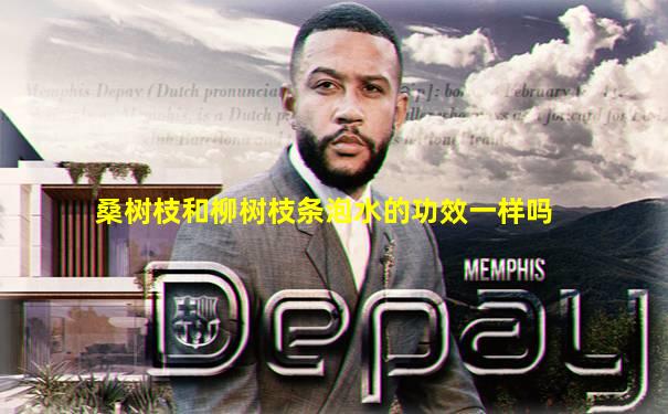 桑树枝和柳树枝条泡水的功效一样吗