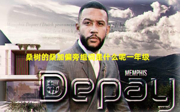 桑树的桑加偏旁组词是什么呢一年级