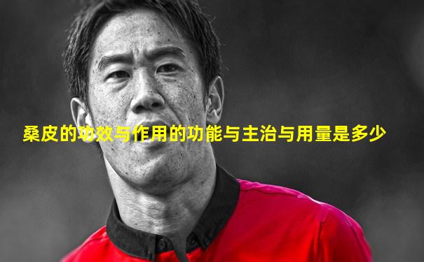 桑皮的功效与作用的功能与主治与用量是多少