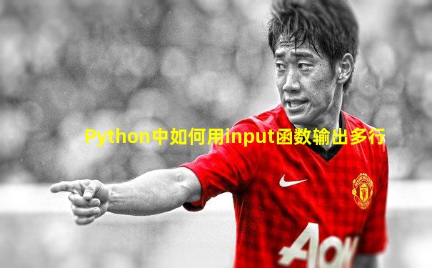 Python中如何用input函数输出多行
