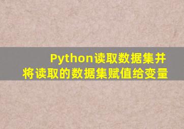 Python读取数据集并将读取的数据集赋值给变量
