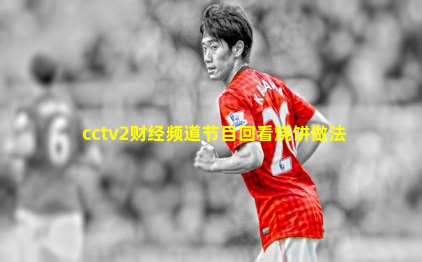 cctv2财经频道节目回看烧饼做法