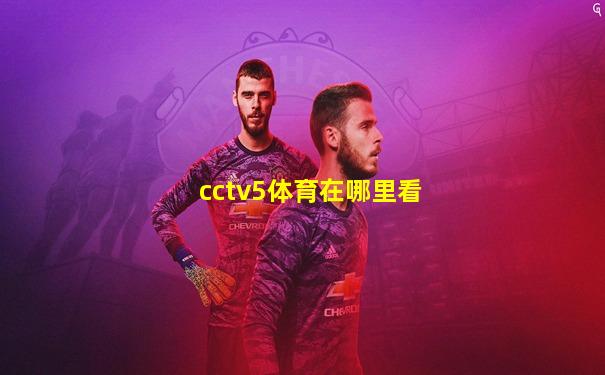 cctv5体育在哪里看