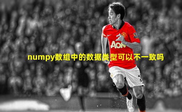 numpy数组中的数据类型可以不一致吗