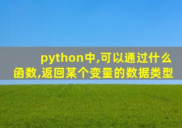 python中,可以通过什么函数,返回某个变量的数据类型