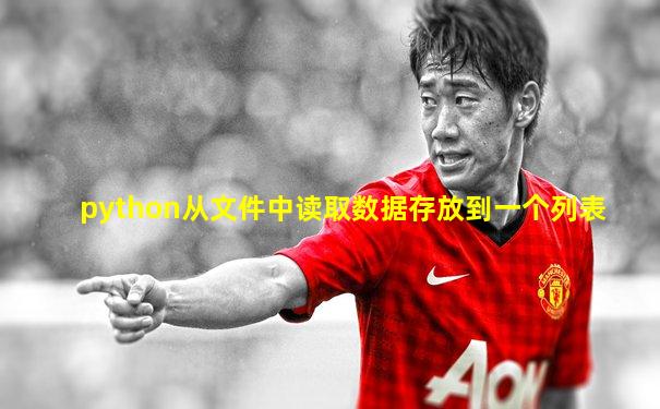 python从文件中读取数据存放到一个列表