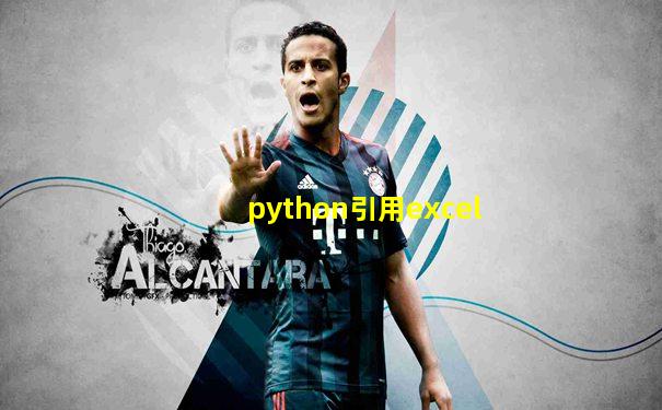 python引用excel