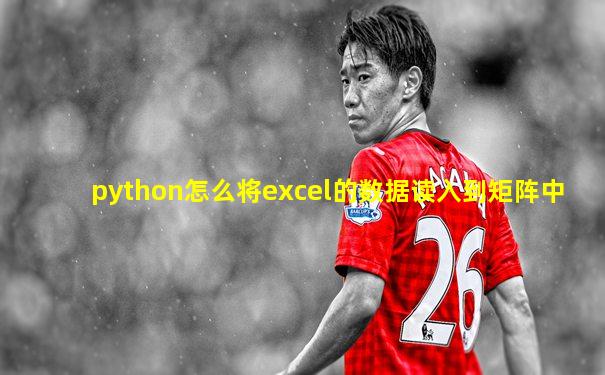 python怎么将excel的数据读入到矩阵中
