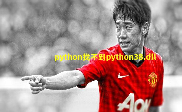python找不到python38.dll