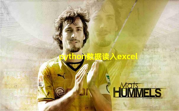 python数据读入excel