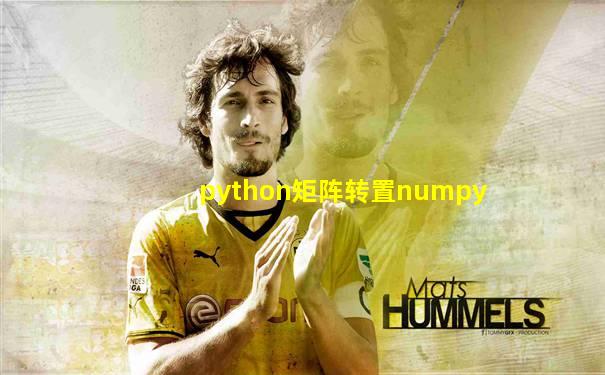 python矩阵转置numpy