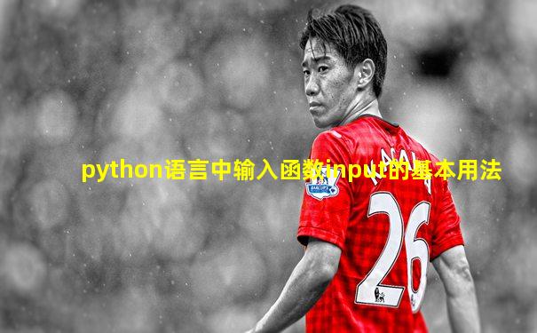 python语言中输入函数input的基本用法
