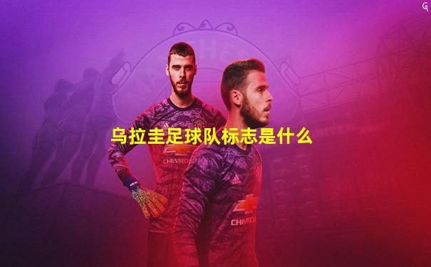 乌拉圭足球队标志是什么