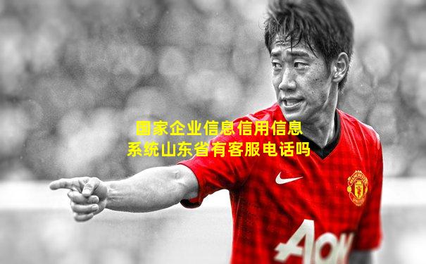 国家企业信息信用信息系统山东省有客服电话吗