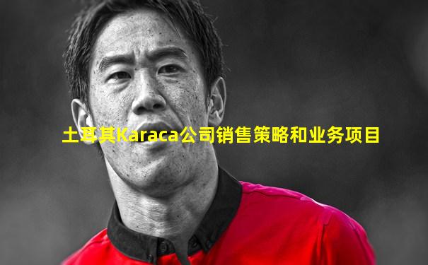 土耳其Karaca公司销售策略和业务项目