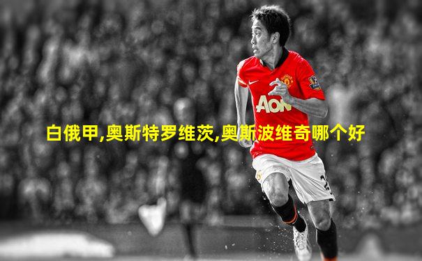 白俄甲,奥斯特罗维茨,奥斯波维奇哪个好