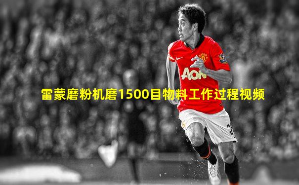 雷蒙磨粉机磨1500目物料工作过程视频