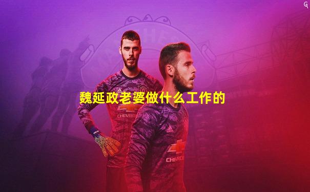 魏延政老婆做什么工作的